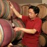 Cina e Giappone raddoppiano il consumo di vino, mercato europeo in forte calo (Ansa) 