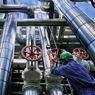 Petrolio: Opec, quote di produzione ferme, nessun accordo al vertice di Vienna 
