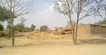 Sahel, allarme sulla via della sete 