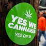 La California dice no alla legalizzazione della marijuana (Reuters) 