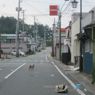 La citt di Okuma, a pochi chilometri da Fukushima 