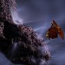 4 novembre 2010 la missione Nasa EPOXI incontra la cometa Hartley 2. Un'artist view dell'incontro 