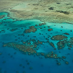 Great Barrier Reef (Corbis)