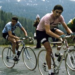 Eddy Merckx (Olycom)