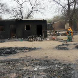 Gli estremisti «hanno completamente bruciato sedici villaggi e la città di Baga». (Afp)