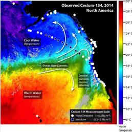 Radioattività da Fukushima nel Pacifico, l'area dei rilevamenti . Fonte: Woods Hole Oceanographic Institution