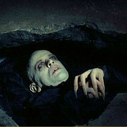 vampiri ed erezione massaggio buona erezione