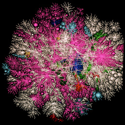 Il traffico internet a livello mondiale. Ogni linea rappresenta un percorso dati, e il colore il Paese: Usa (rosa), Regno Unito (blu scuro), Italia (azzurro), Svezia (verde) , sconosciuto (bianco) - Associazione per l'Analisi dei dati Internet, Università della California (TIPS)