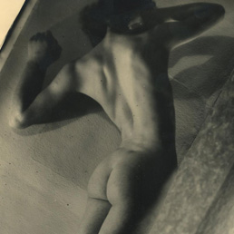 I nudi sensuali di Luxardo - Foto