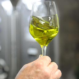 Un piano per l'olio d'oliva