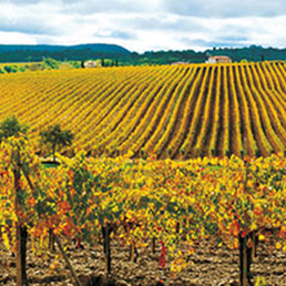 La pace del Montepulciano sfuma a un passo dalla firma