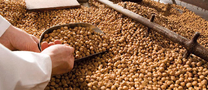 Ecosistema agroalimentare. Sempre pi aperto ai mercati esteri, il comparto food del Piemonte guarda ai 200 milioni di nuovi consumatori stimati da qui al 2017. In alto, la lavorazione delle nocciole, eccellenza piemontese
