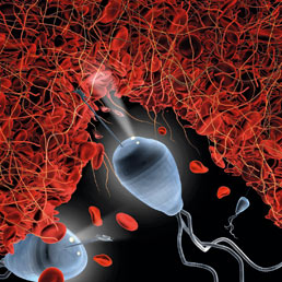 Il 2012 sarà l'anno dei nanofarmaci?