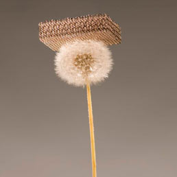 Il nuovo materiale è superelastico, resistente agli urti e assorbe i rumori