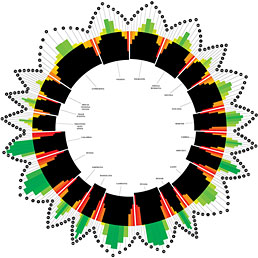 I pionieri della data visualization. Nella foto l'infografica realizzata dal team Density Design, laboratorio di ricerca del Politecnico di Milano, contenuta nel libro «Decode od Die. L'infografica applicata alla tv»