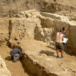 In centinaia al primo open day per gli archeologi, professione di disillusi ma appassionati (Ansa)