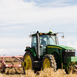 Ritorno alla terra in tempo di crisi: in aumento sia i lavoratori agricoli che gli orti urbani