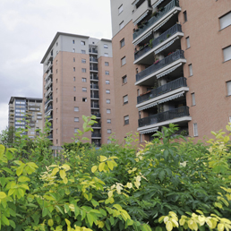 Casa, le stime di Nomisma per il 2011. In ripresa le compravendite nelle città del centro-nord