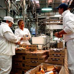 I francesi di Lactalis in campo per Parmalat. «Abbiamo l'11%». Governo favorevole a una lista italiana (Fotogramma)