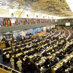 Un'immagine della recente conferenza Fao a Roma (Ansa)