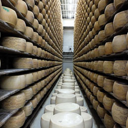 Brazzale produce formaggio a Praga e apre uno store a Shanghai