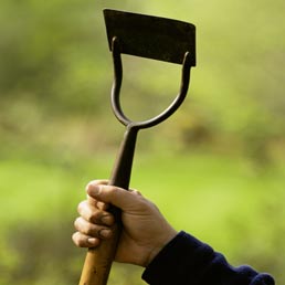 A Roma il primo Agroclub. Come il circolo del tennis, ma al posto della racchetta si usa la zappa