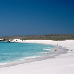 Galapagos (Corbis)