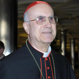 Il cardinale Tarcisio Bertone (Ansa)