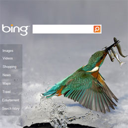 Microsoft cede Bing a Facebook?