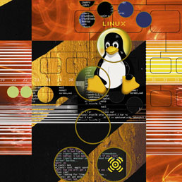 Ibm investe un miliardo di dollari su Linux: il sistema operativo è decollato anche su mobile con Android