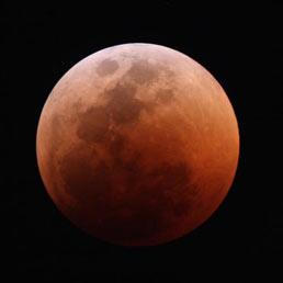 "L'ho vista". La Luna rossa impazza sulla rete