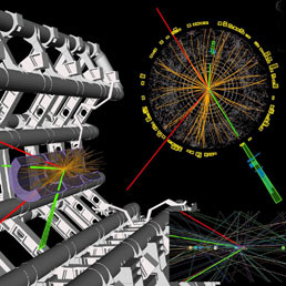 Una immagine scaricata dal sito del CERN mostra l'esperimento effettuato per la ricerca del bosone (Ansa)