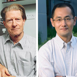 John Gurdon e Shinya Yamanaka (Ansa)