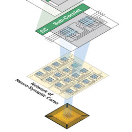 Da IBM il chip che imita il cervello umano - Video