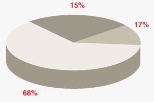 Pie Chart